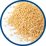 Millet Extract